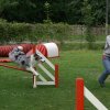 agility 2011-07-24
